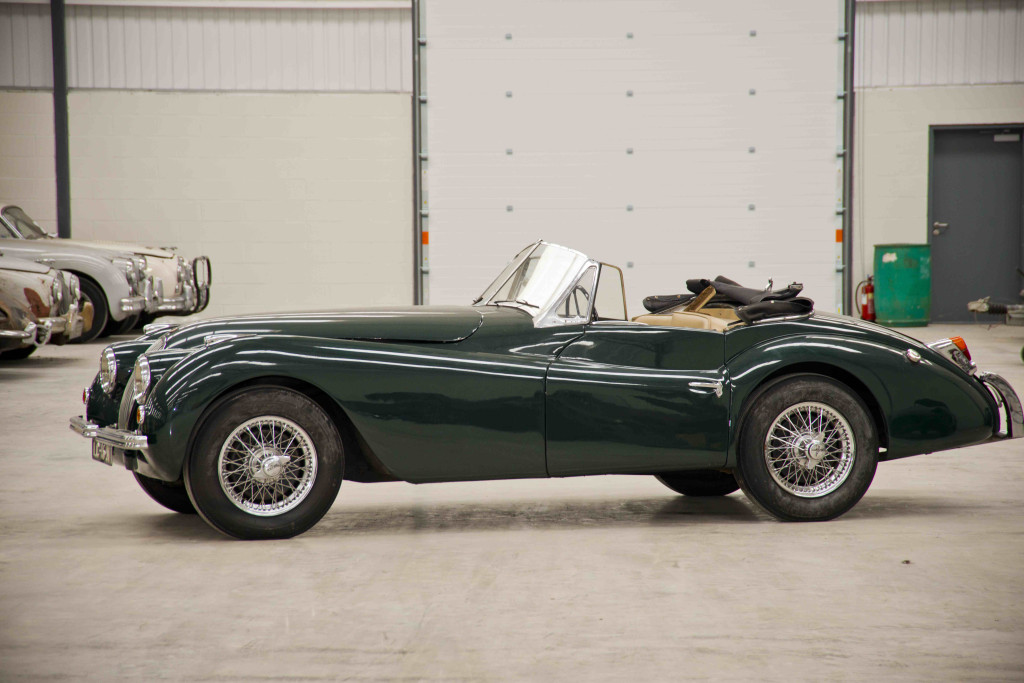 Jaguar xk120 roadster