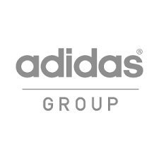 adidas q2 2016 results