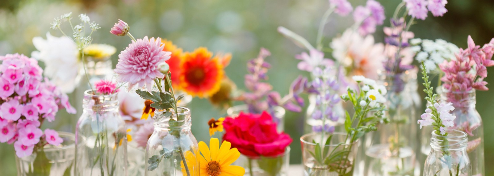 Best Places to Order Flowers Online Core Sector Communique